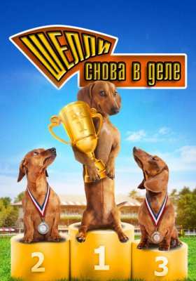 Шелли снова в деле